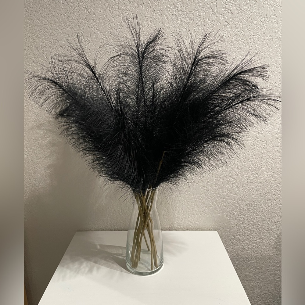 Black Pampas Stems - Decorative Home Accent